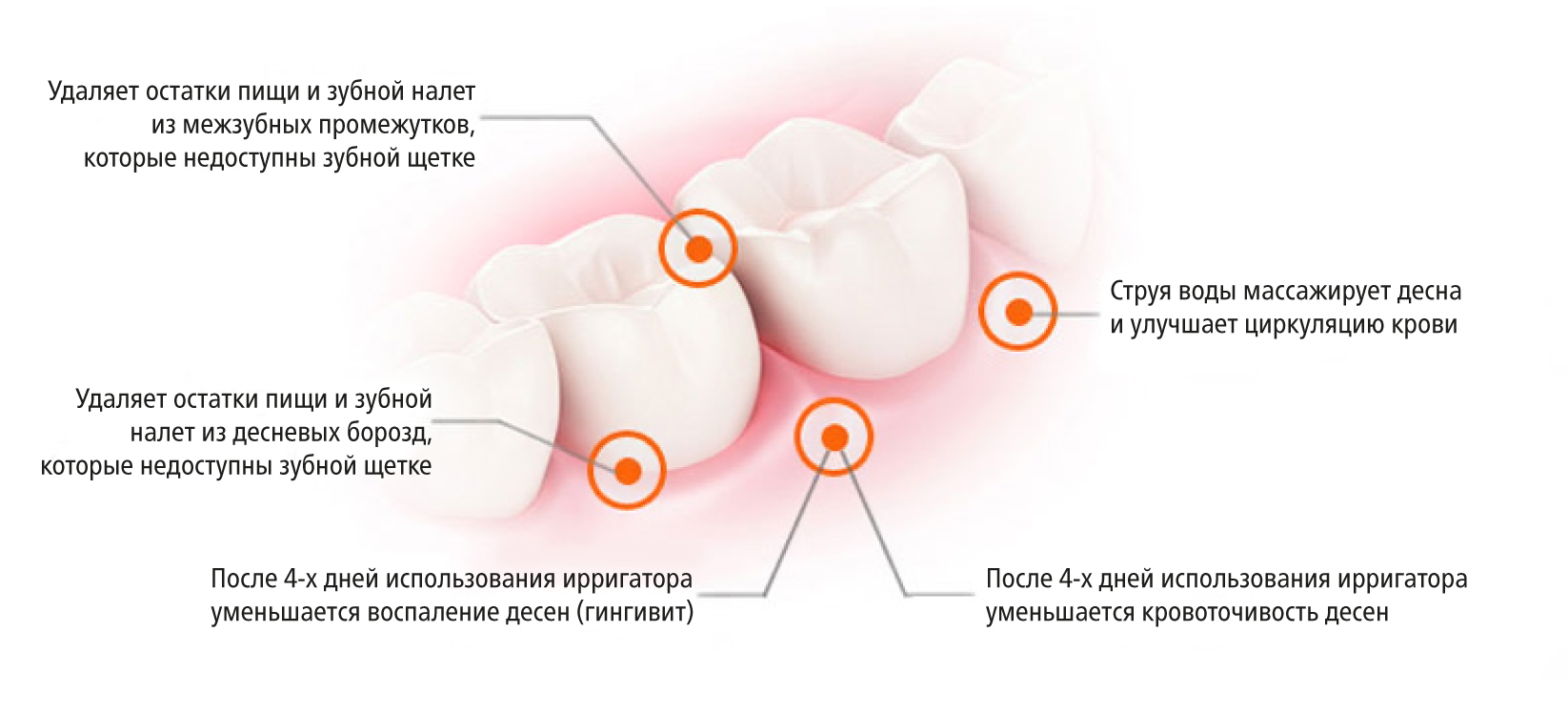 prooral 5102